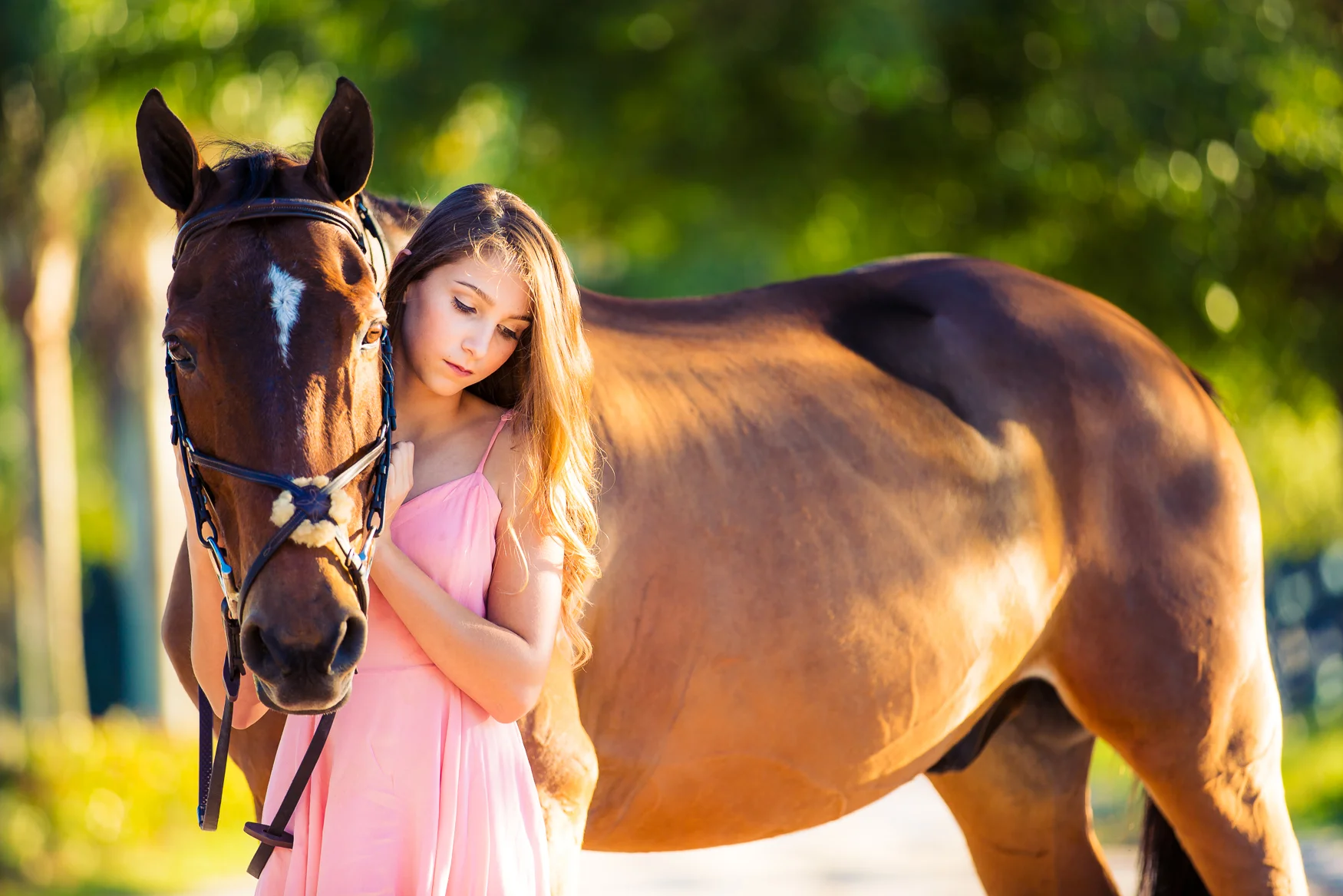 Samantha, Aruba & Java | Equestrian Portrait Photography