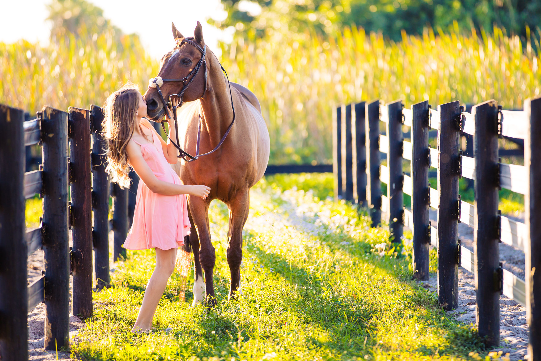 EquestrianPortraitPhotography-7.jpg