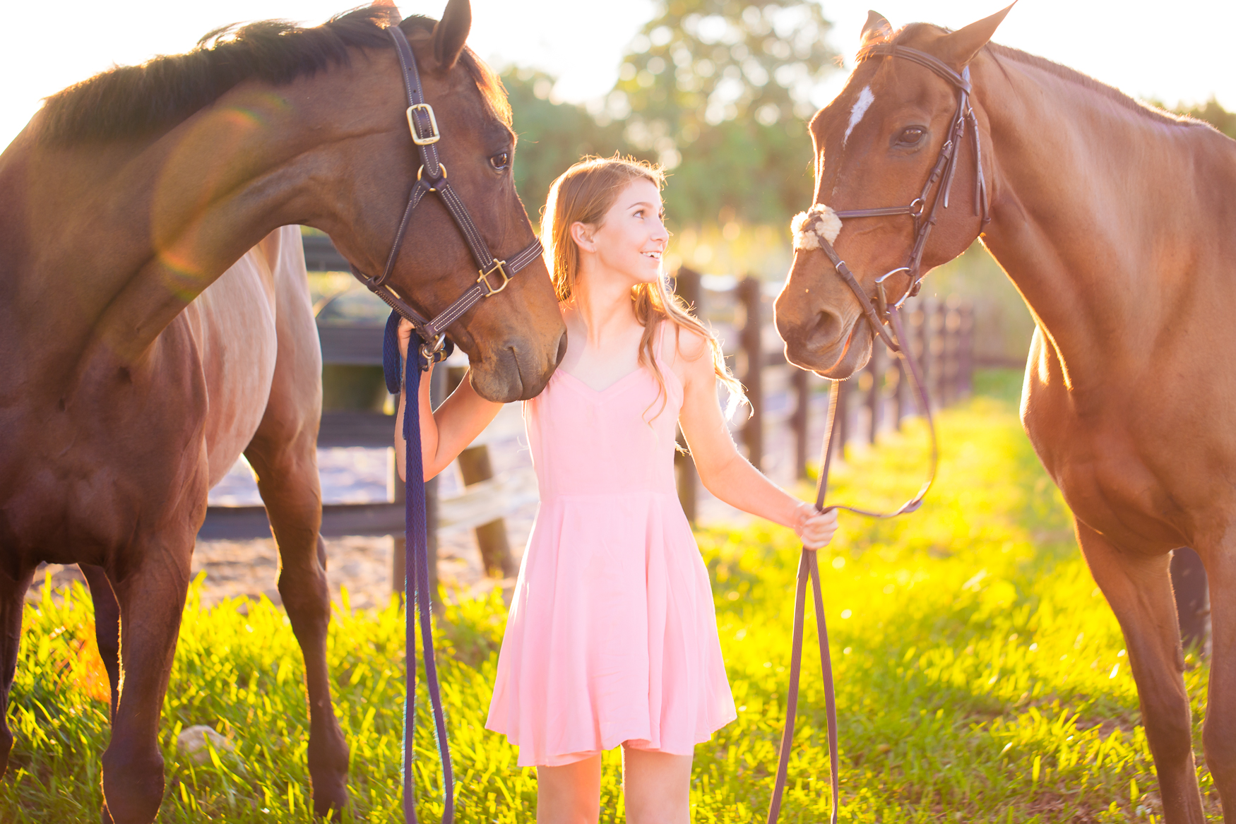 EquestrianPortraitPhotography-17.jpg