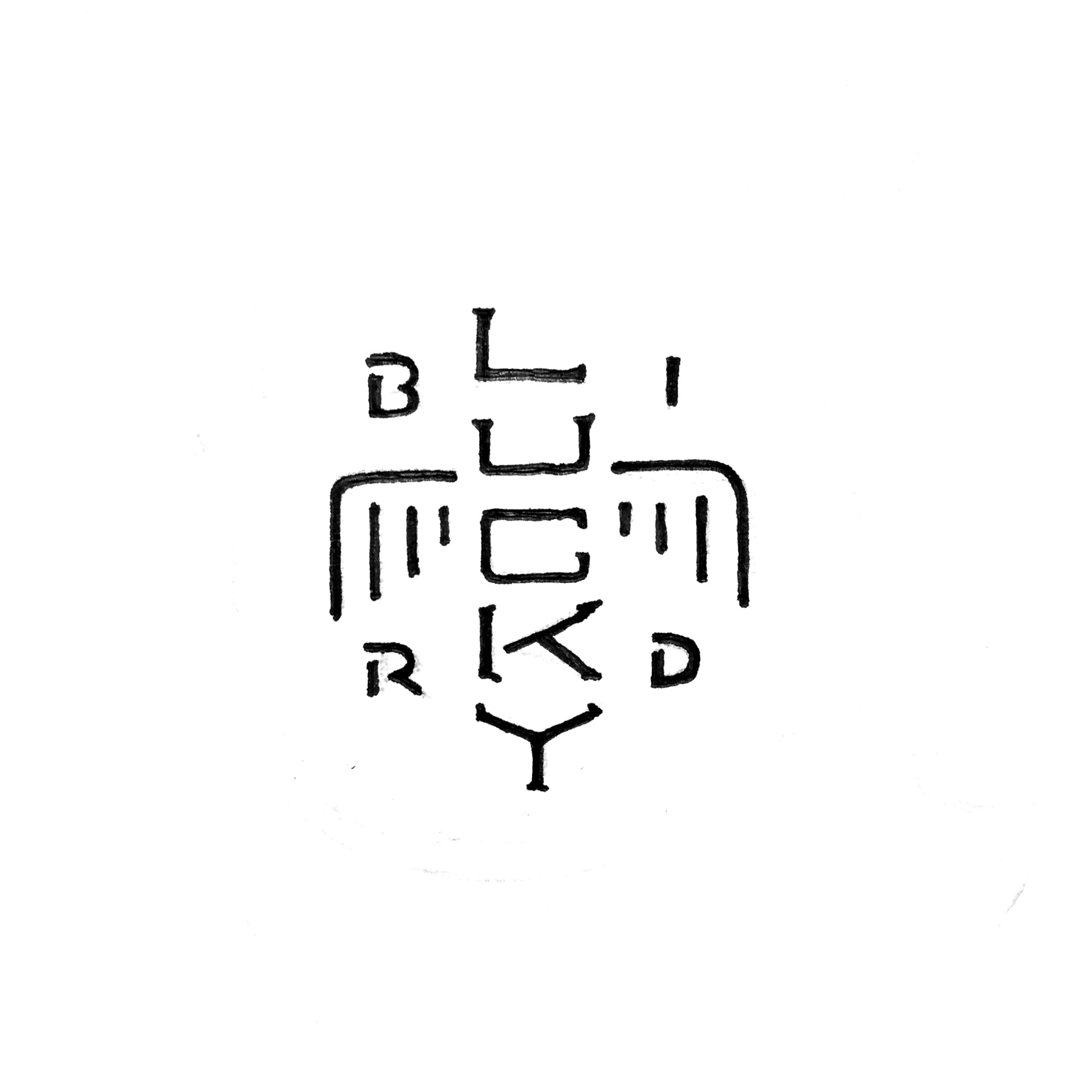 RD_LuckyBird_sketch_4.jpg