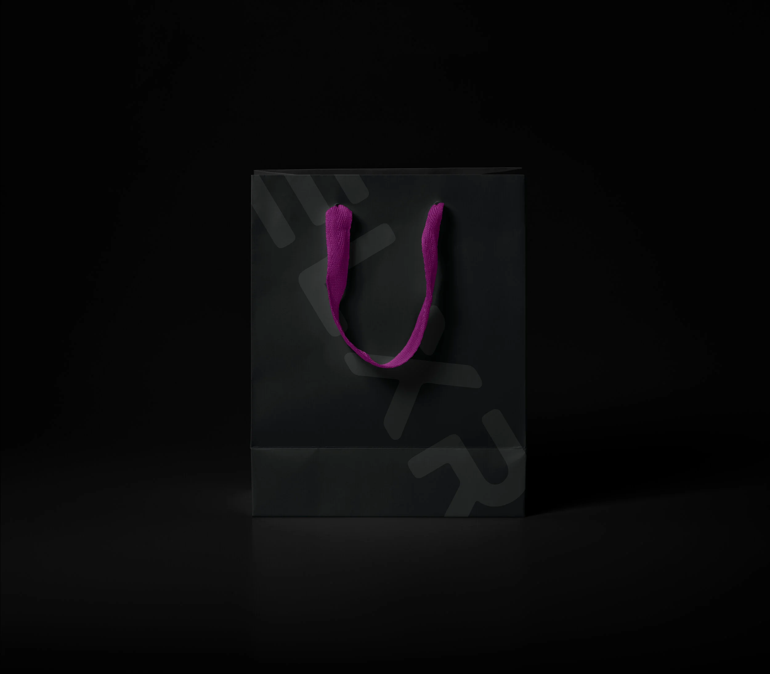 Bag v02.jpg