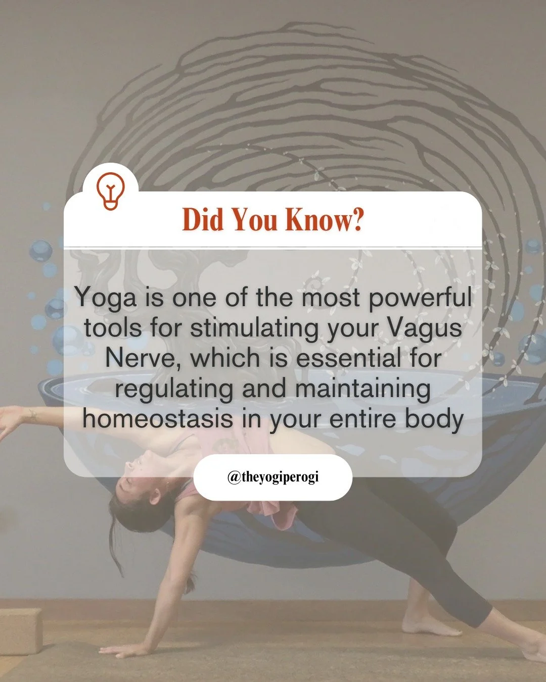 The Vagus Nerve is the longest nerve in your body. It runs all the way from your brainstem, down your neck, to the heart and lungs, and through your digestive organs. 

Talk about important! 🫁🧠🫀

Through specific movement and deep breathing, yoga 