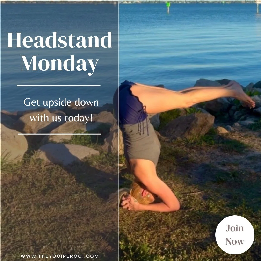 New week, new opportunity to return to your practice and your goals. 🤍

&ldquo;The heart of yoga practice is Abyhasa- steady effort in the direction you want to go.&rdquo; -Sally Kempton

All growth is built in the small choices we choose to make ag