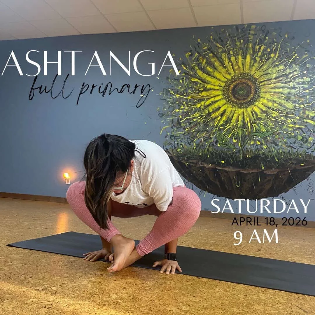 This Saturday 9am! It&rsquo;s your last chance to take the Ashtanga Full Primary with us for a couple of months while we roll out some fresh offerings for the summer months. 

Sign up now on *Momence* to grab your spot! 🙏

Everyone is welcome. All l
