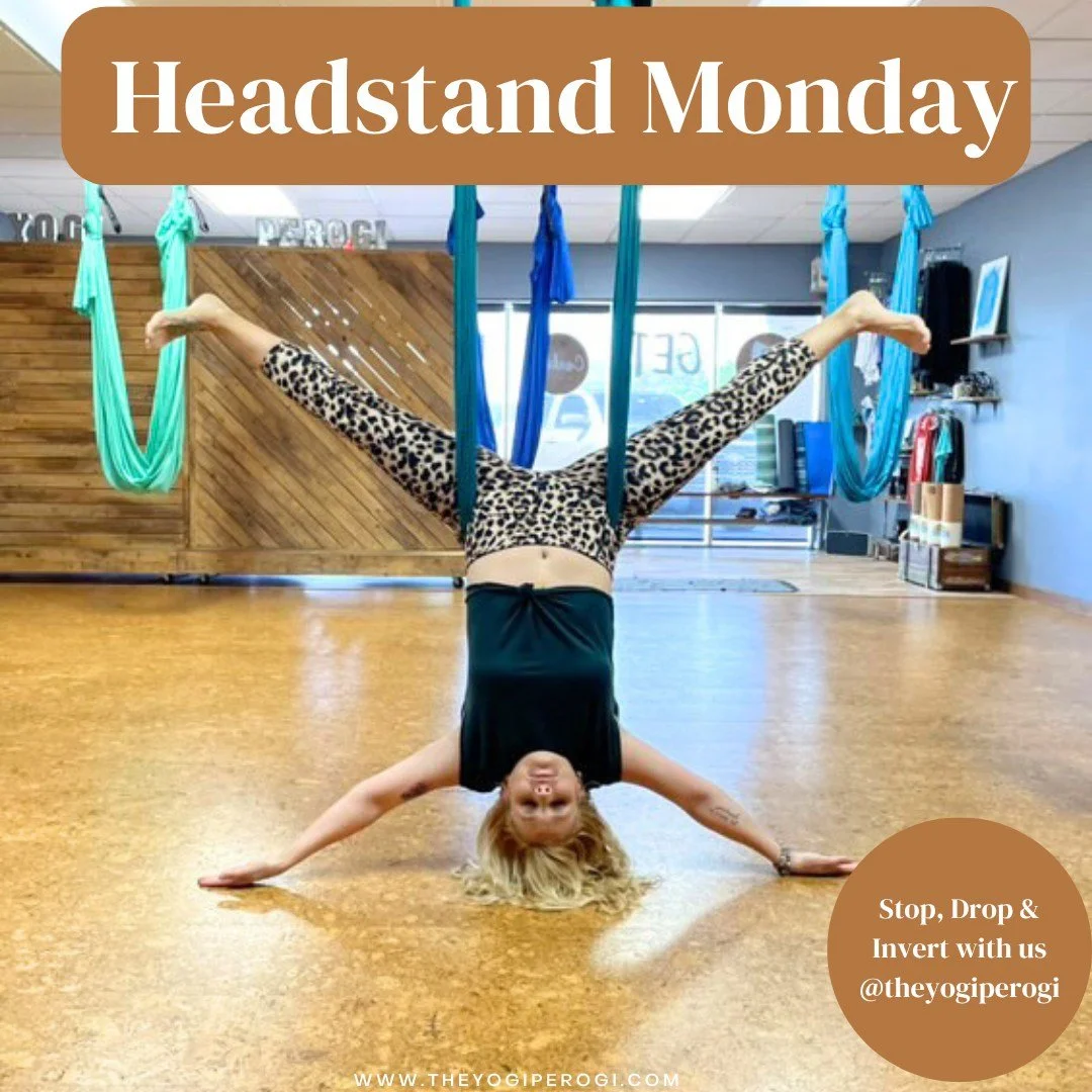 Monday To-Do List: 
1) Get upside down 🙃
2) Share with your community

All inversions count and we can't to see all your beautiful faces on the mat this week!
Happy Monday!

#headstandmonday #happyheadstandmonday #theyogiperogi #getcorkedup #getupsi