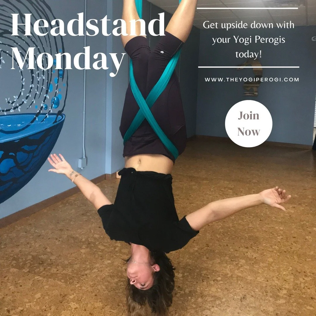 Monday reminder ✨

&ldquo;Yoga teaches us to cure what need not be endured and endure what cannot be cured.&rdquo; -B.K.S. Iyengar

May this week bring the wisdom to change what we can, the grace to accept what we can't, and the courage to keep showi