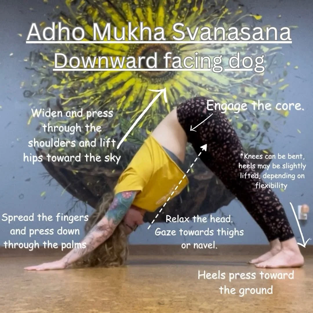 Downward-Facing Dog is one of yoga&rsquo;s most recognized poses, and for good reason. It strengthens and lengthens many parts of the body, and shows up throughout many styles of practice. It serves as a resting pose for many of us while still enhanc