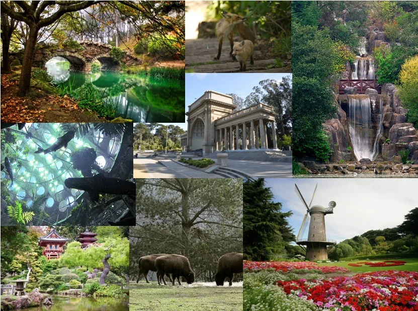 Golden Gate Park has beautiful walks, gardens, wildlife and museums.
