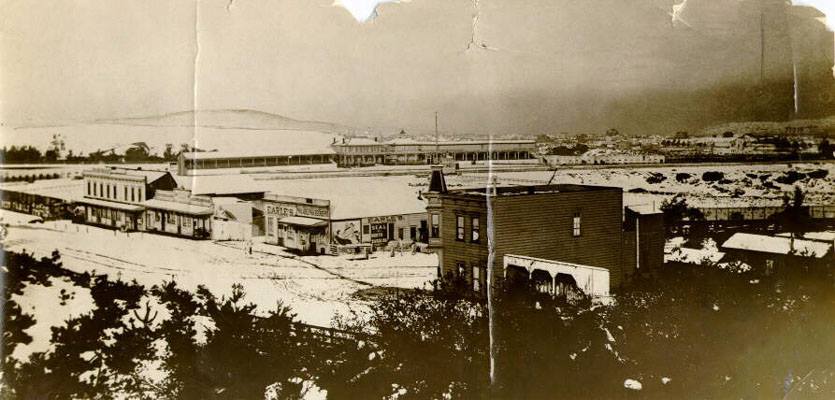 Snow in Richmond Dist. from Park-1882-Mike Fusello.jpg