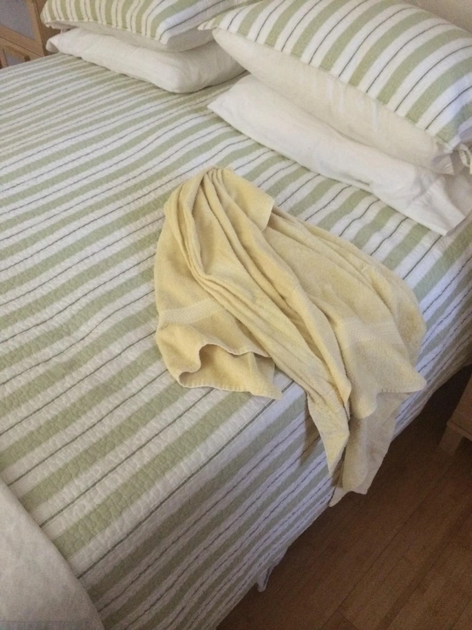 Ep 3 - More Fun Than a Bucket of Monkeys