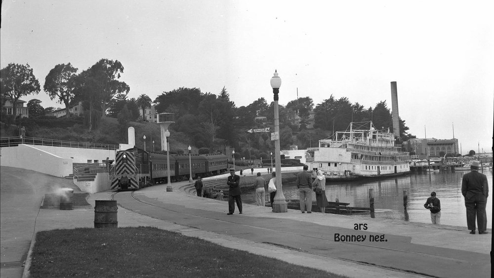 Aquatic Park 1956
