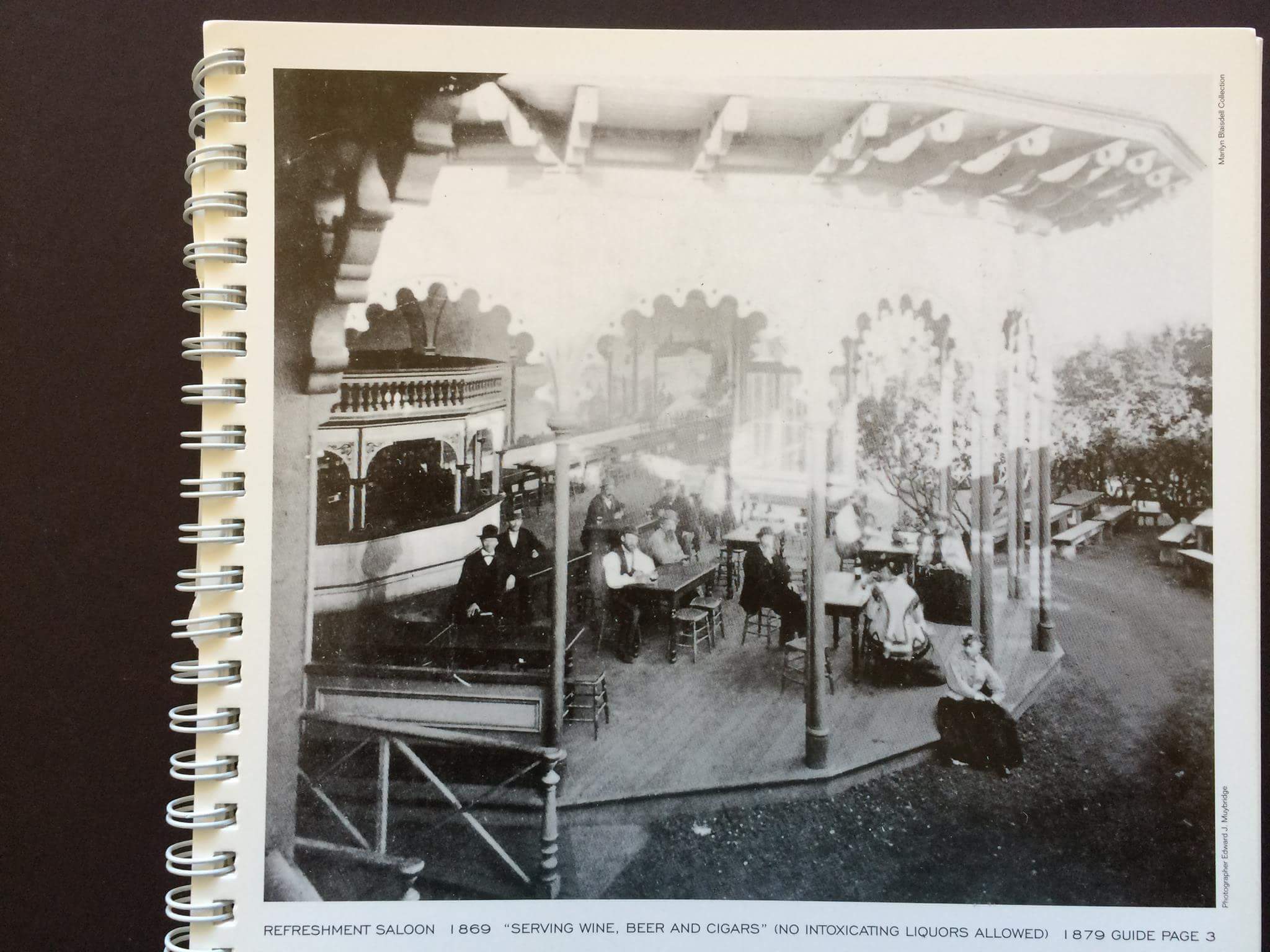 34.2.At Woodwards Gardens.jpg