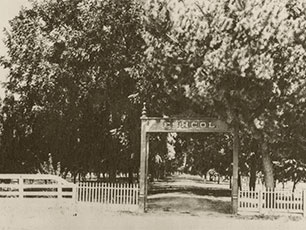 Eshcol Vineyard at Oak Knoll in Napa 1880s