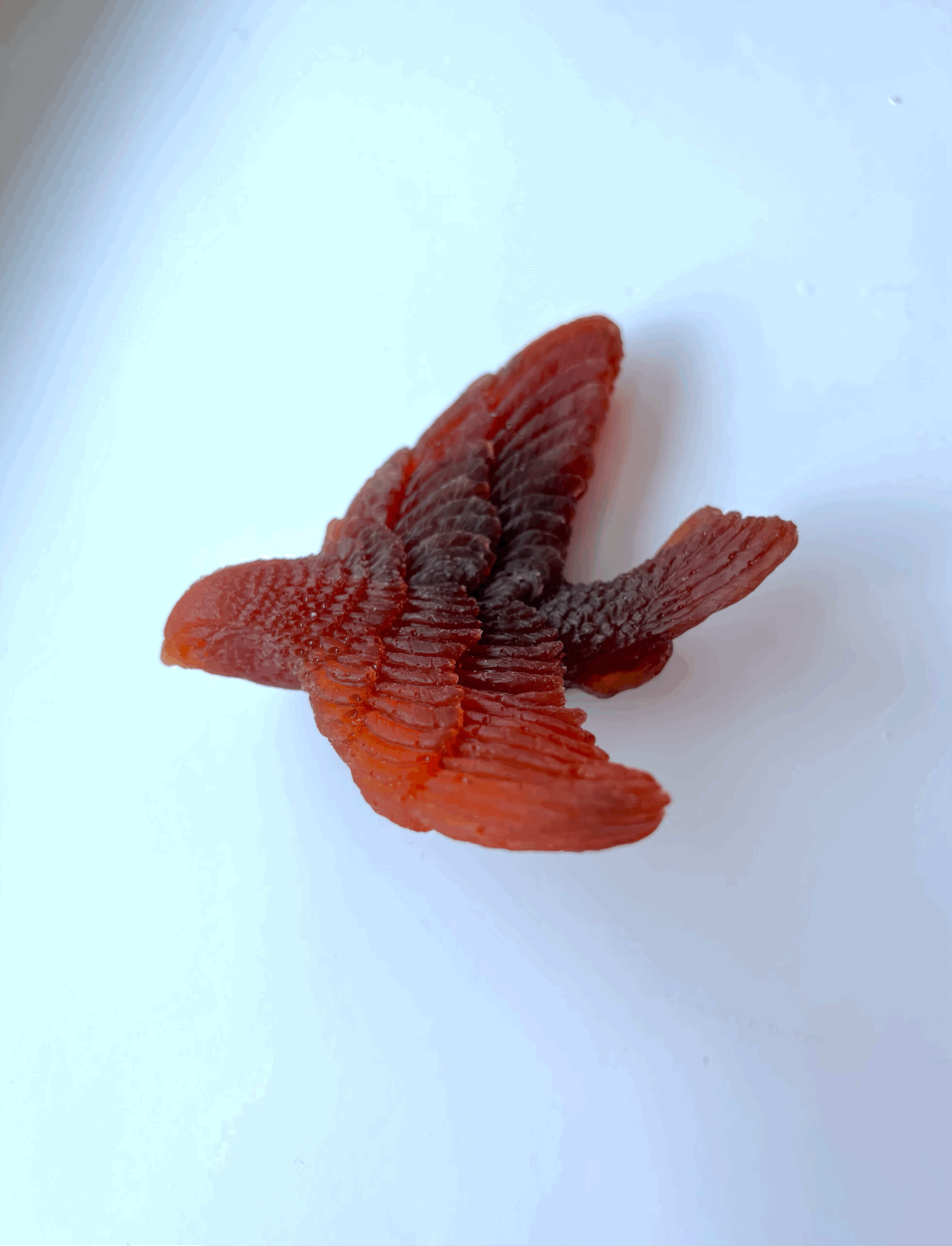 tempImageoQ87cC.gif