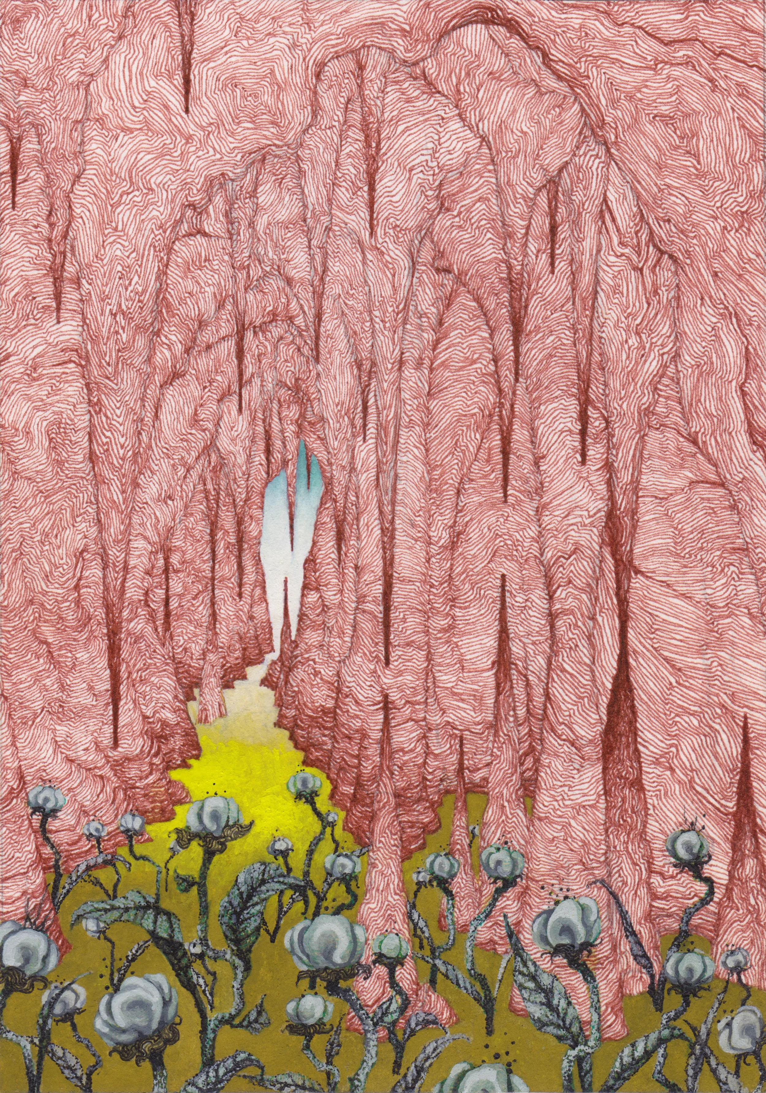Weird Botany, gouache and ink on paper, 6" x 4.5" 2015.