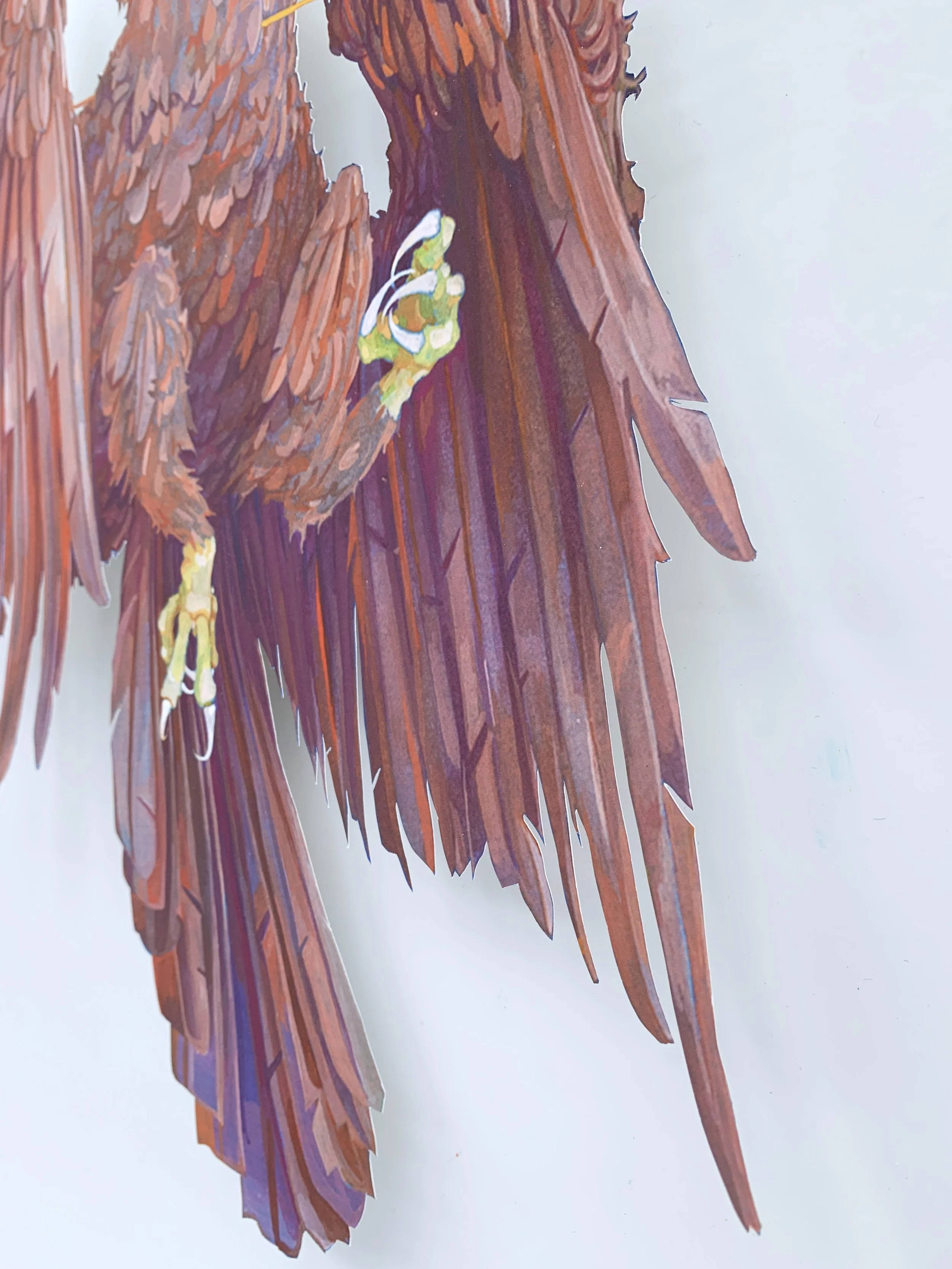 Bird_2.jpg