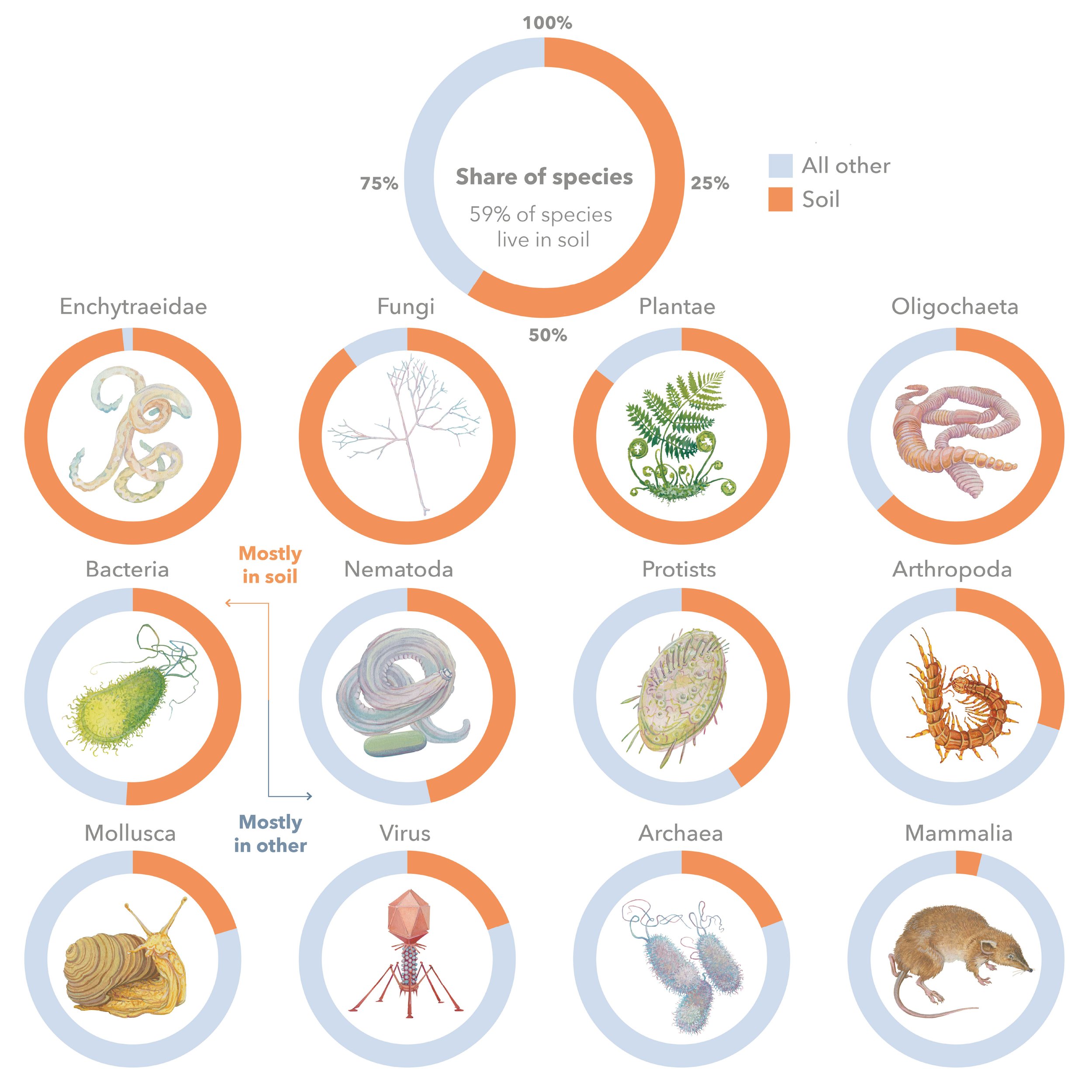 Biodiversity_Graphic_figure.jpg