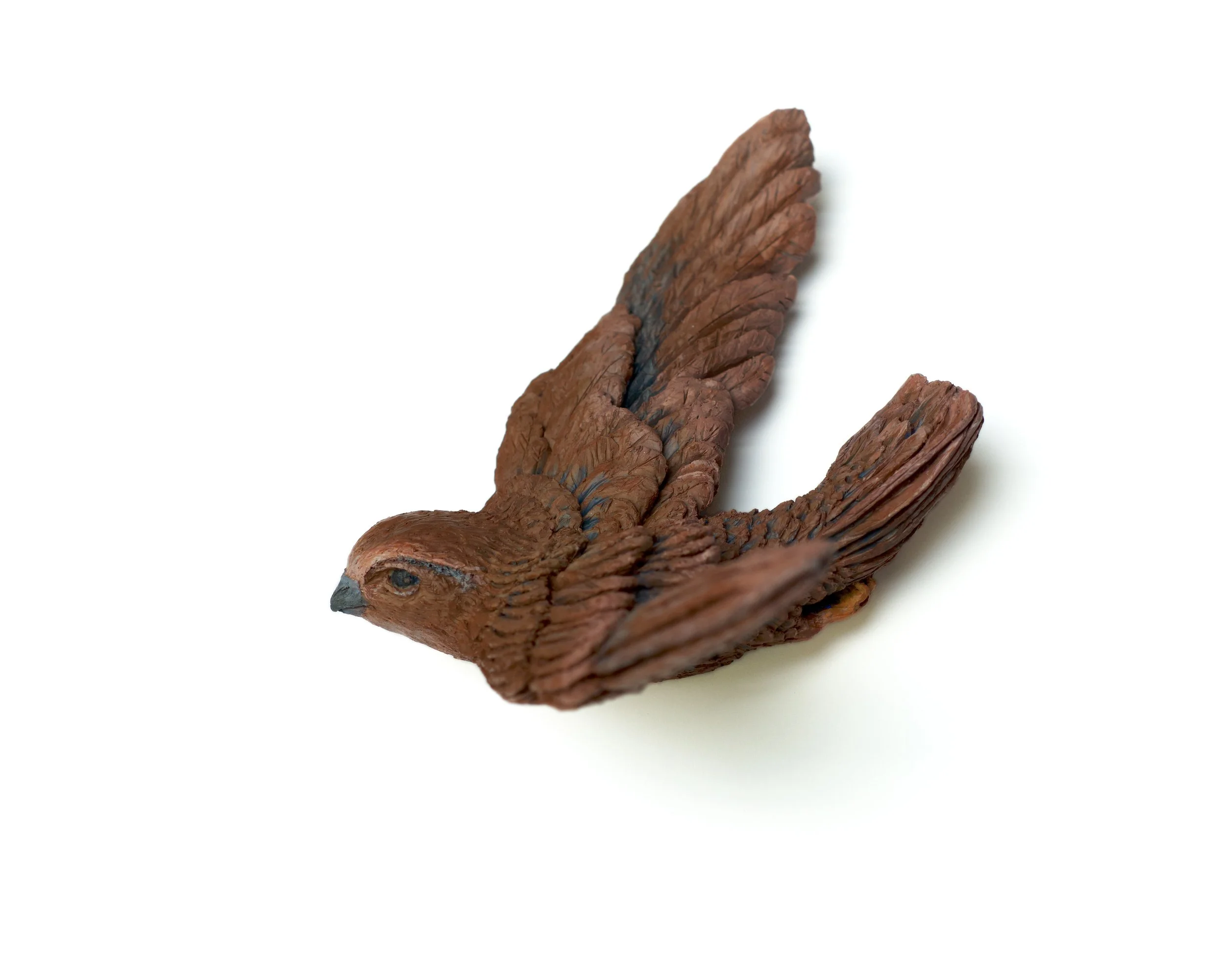 Swallow