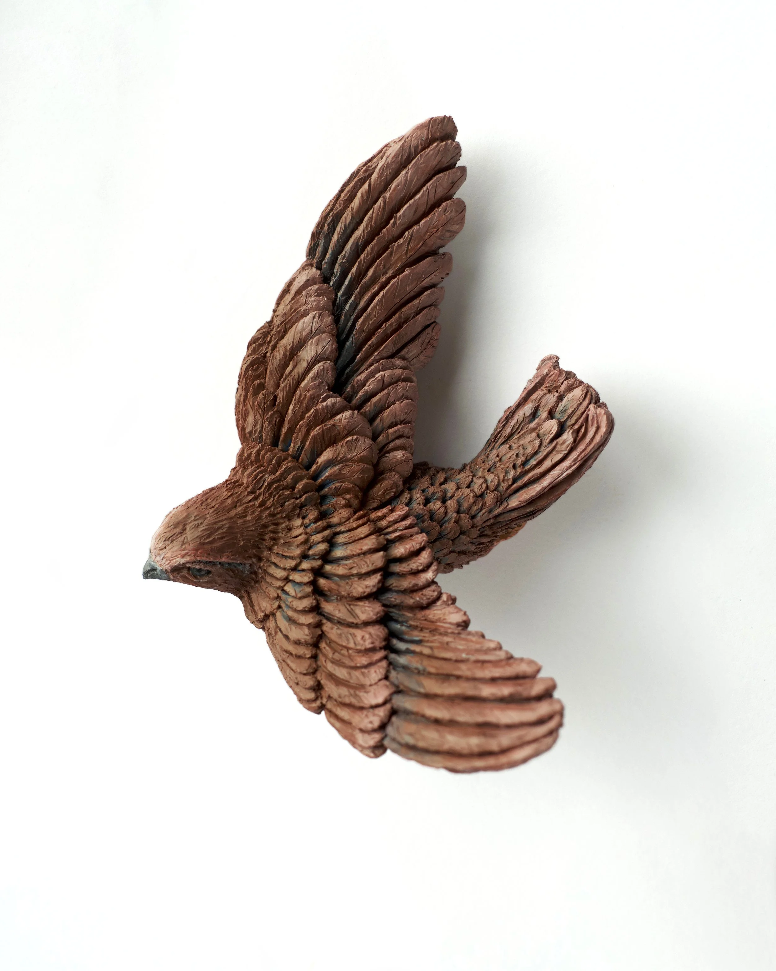 Swallow