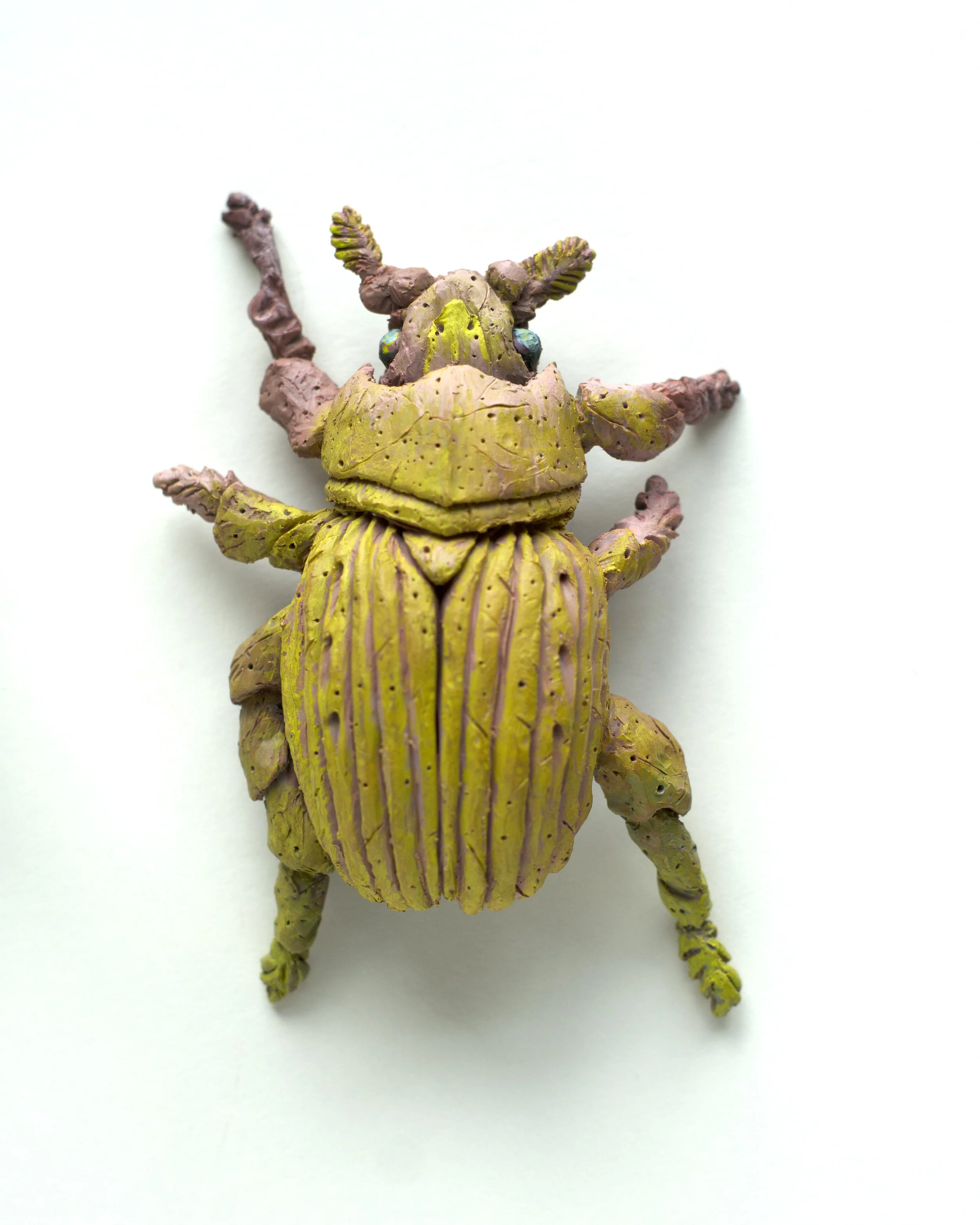 Jewel Bug