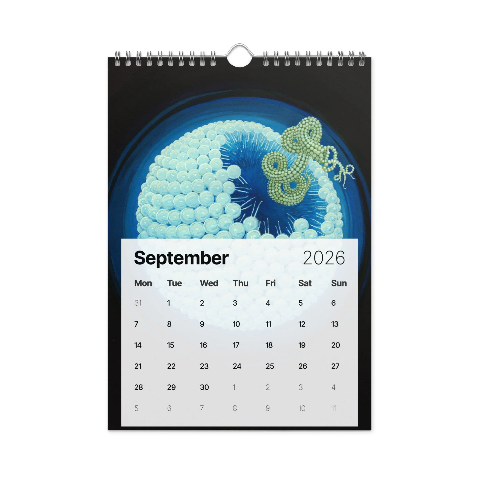 wall-calendar-(2026)-start-w-mon-8.26x11.69-front-68fc77478cbbf.jpg