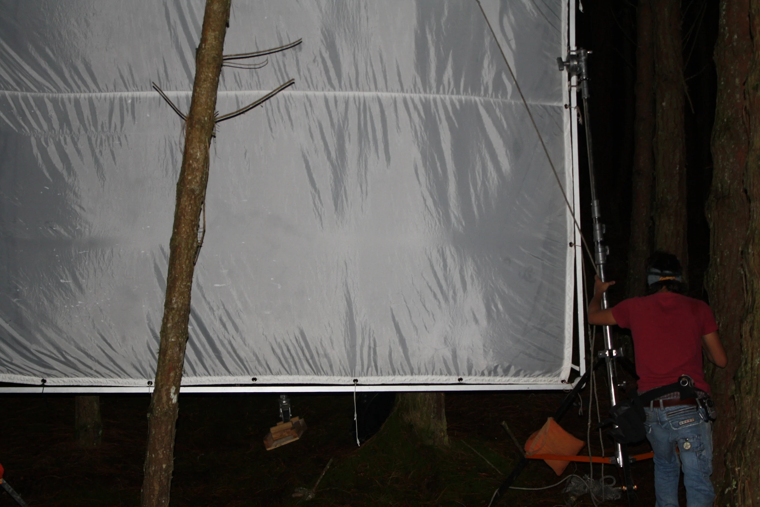 Far Away - Monica Alban