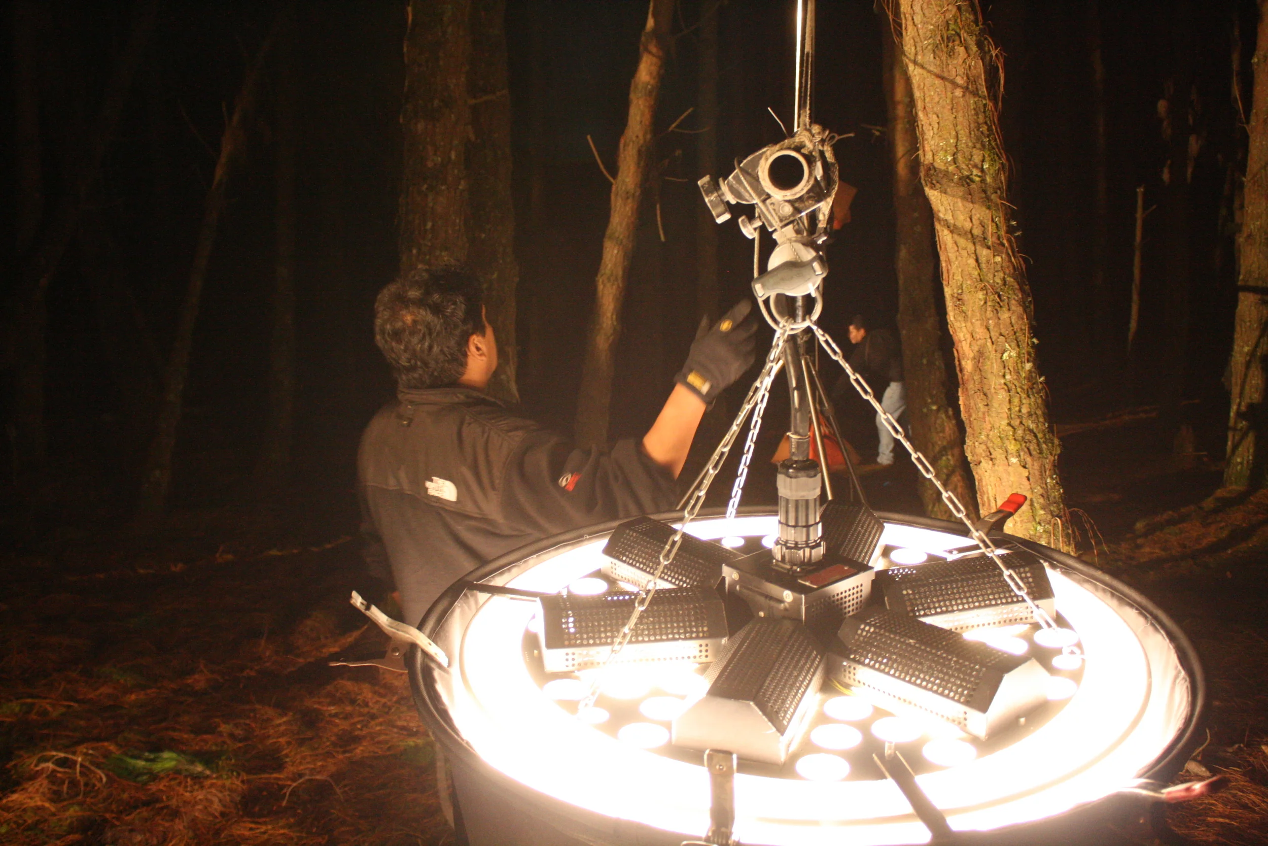 Far Away - Monica Alban