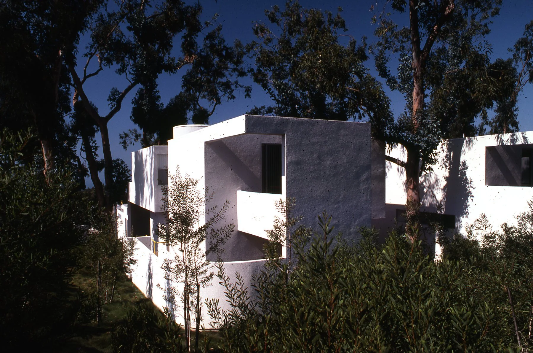img174.jpg