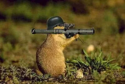 Groundhog Day