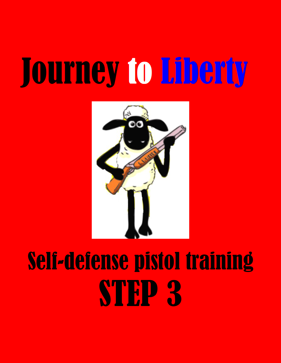 Step 3: Self-defense pistol training