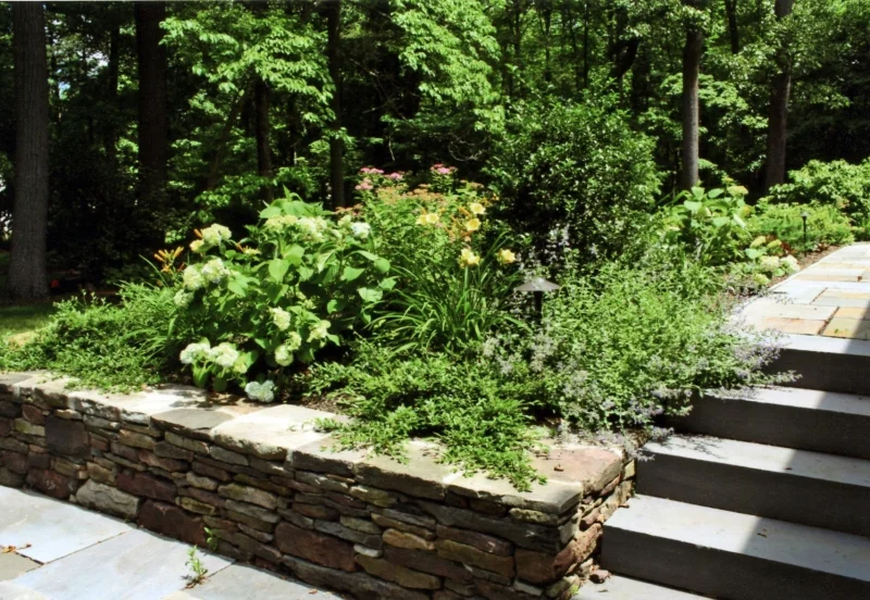 gardens3.jpg