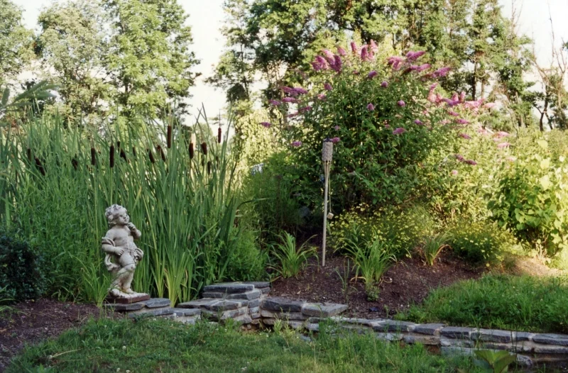 gardens6.jpg