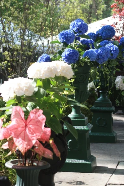 gardens45.jpg