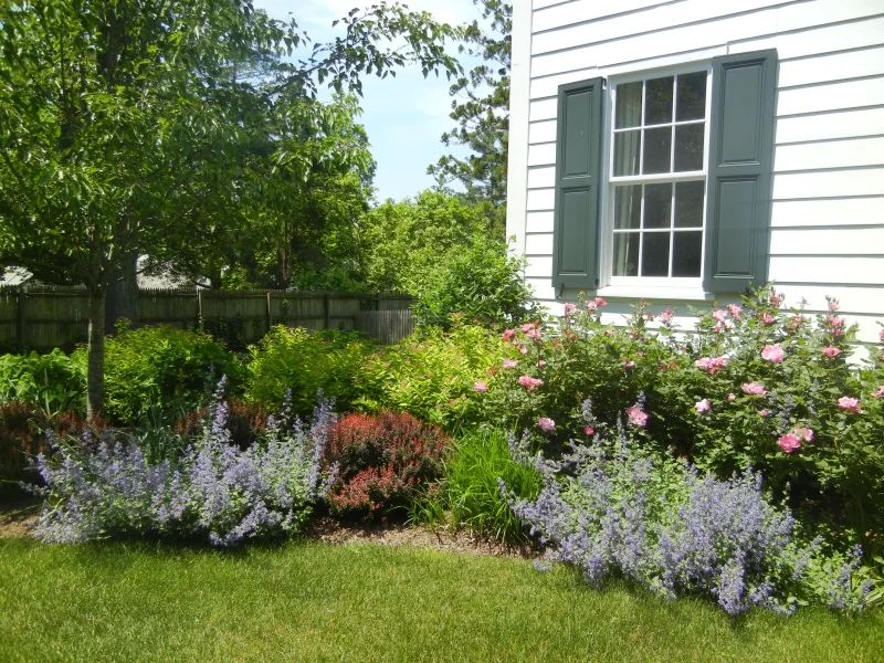 gardens54.jpg