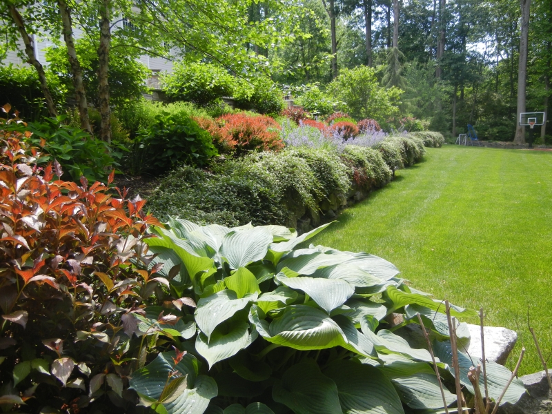 gardens55.jpg
