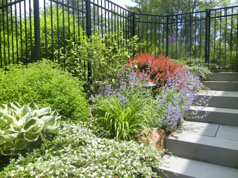 gardens58.jpg