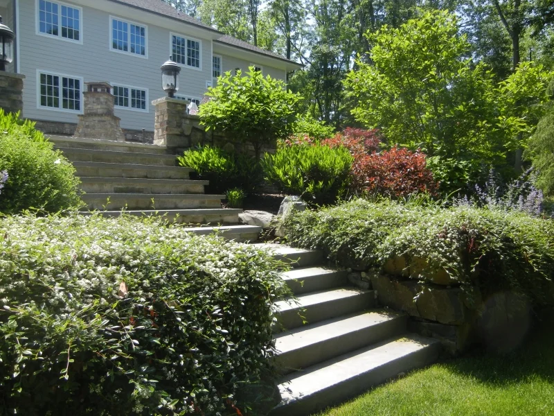 gardens52.jpg