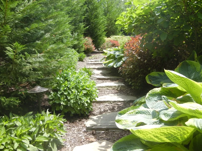 gardens60.jpg