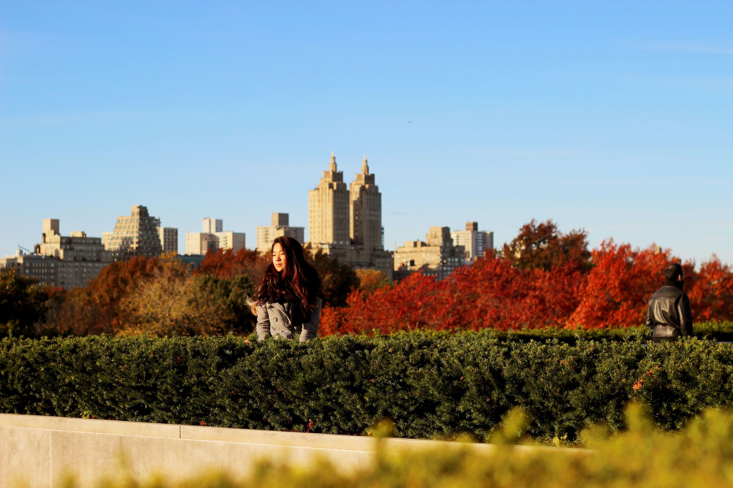 Met Museum Rooftop ( Characters & Carry-ons )
