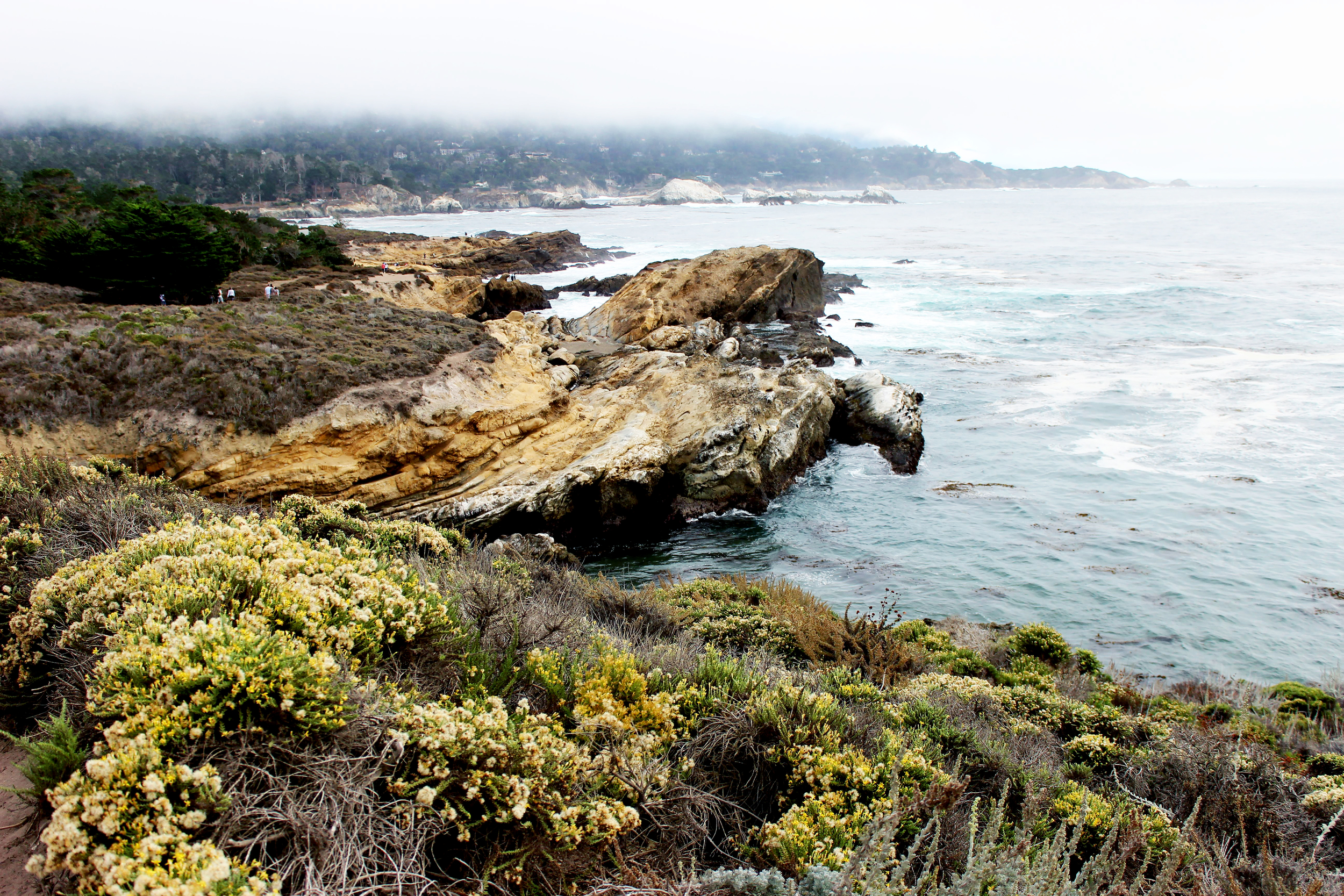 Point Lobos, Monterey Bay