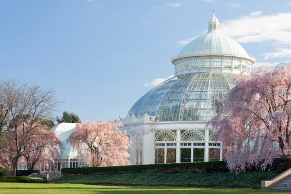 I mage Source: New York Botanic Garden