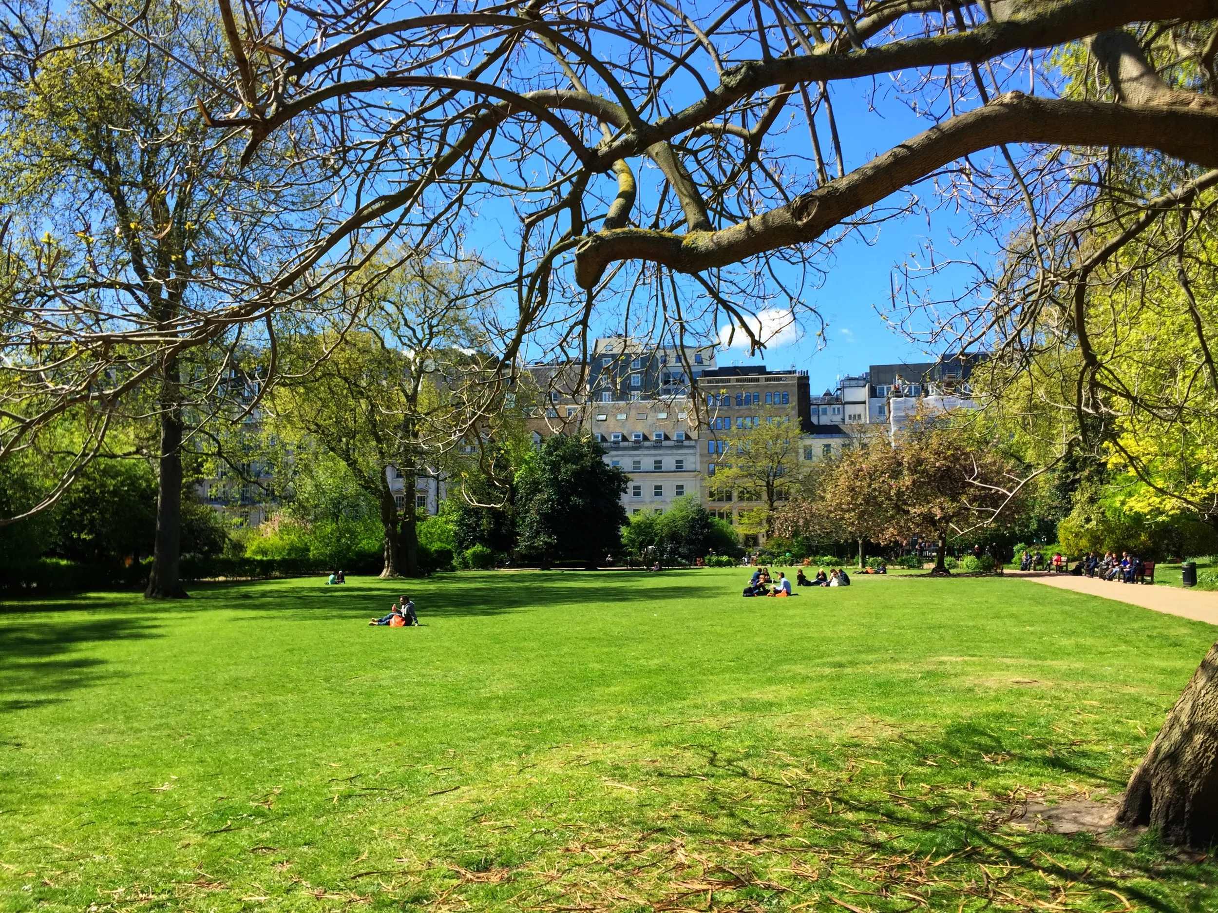 Lincoln's Inn Fields and ICRF (3).JPG