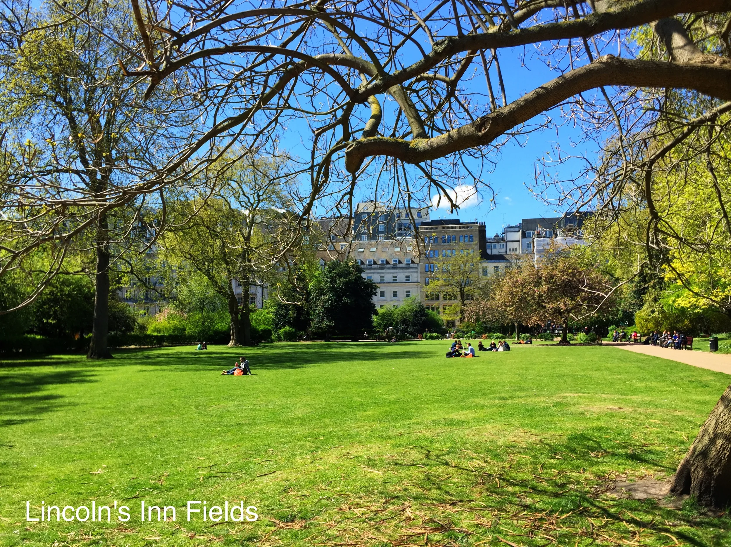 Lincoln's Inn Fields and ICRF (4).JPG
