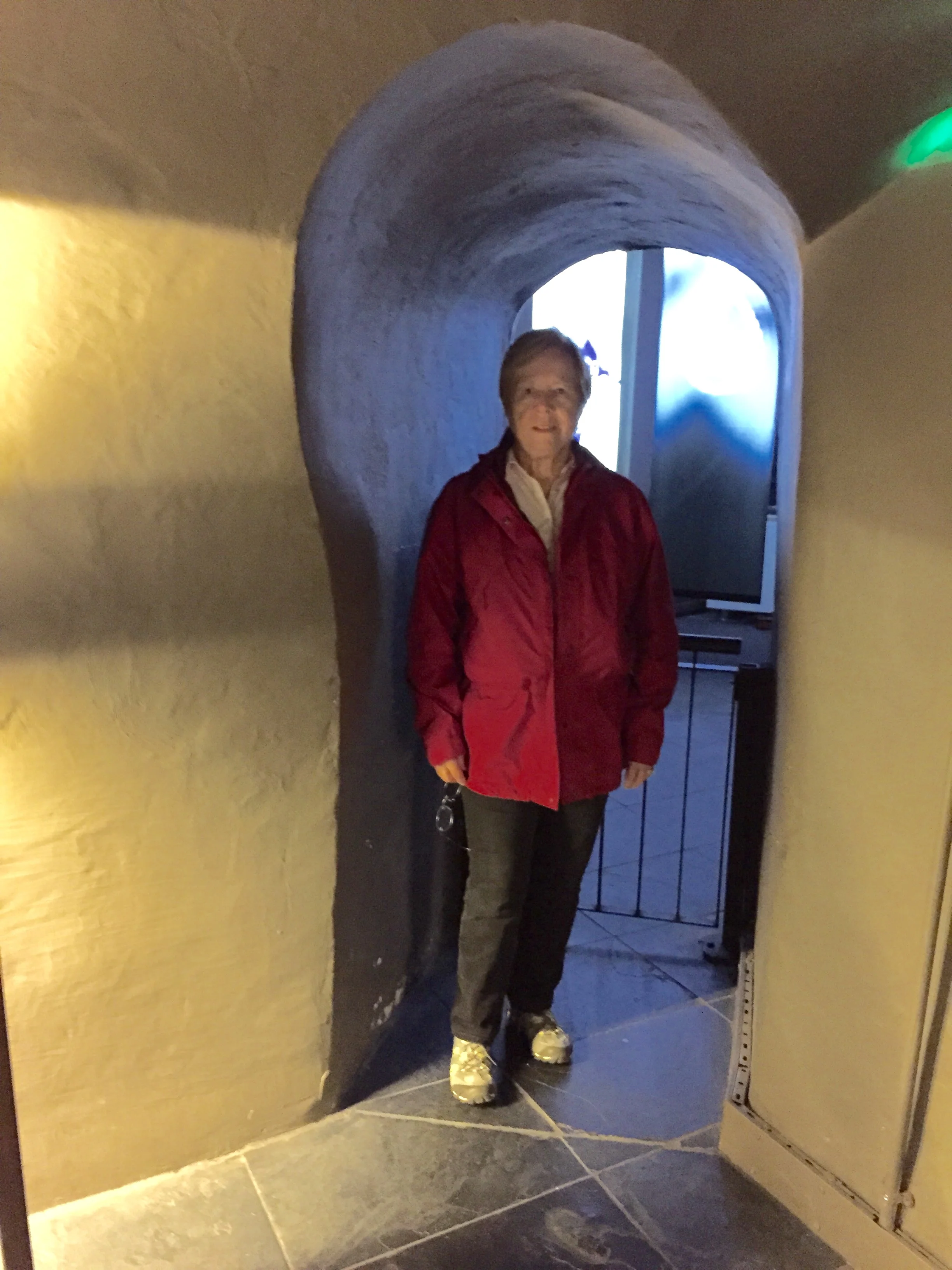 Malahide Castle (12).JPG