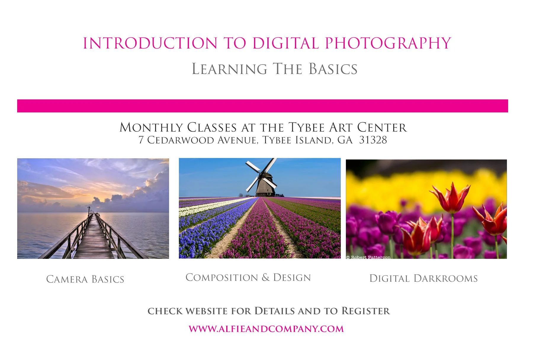 Introduction to Digital Photography with Alfie Wace