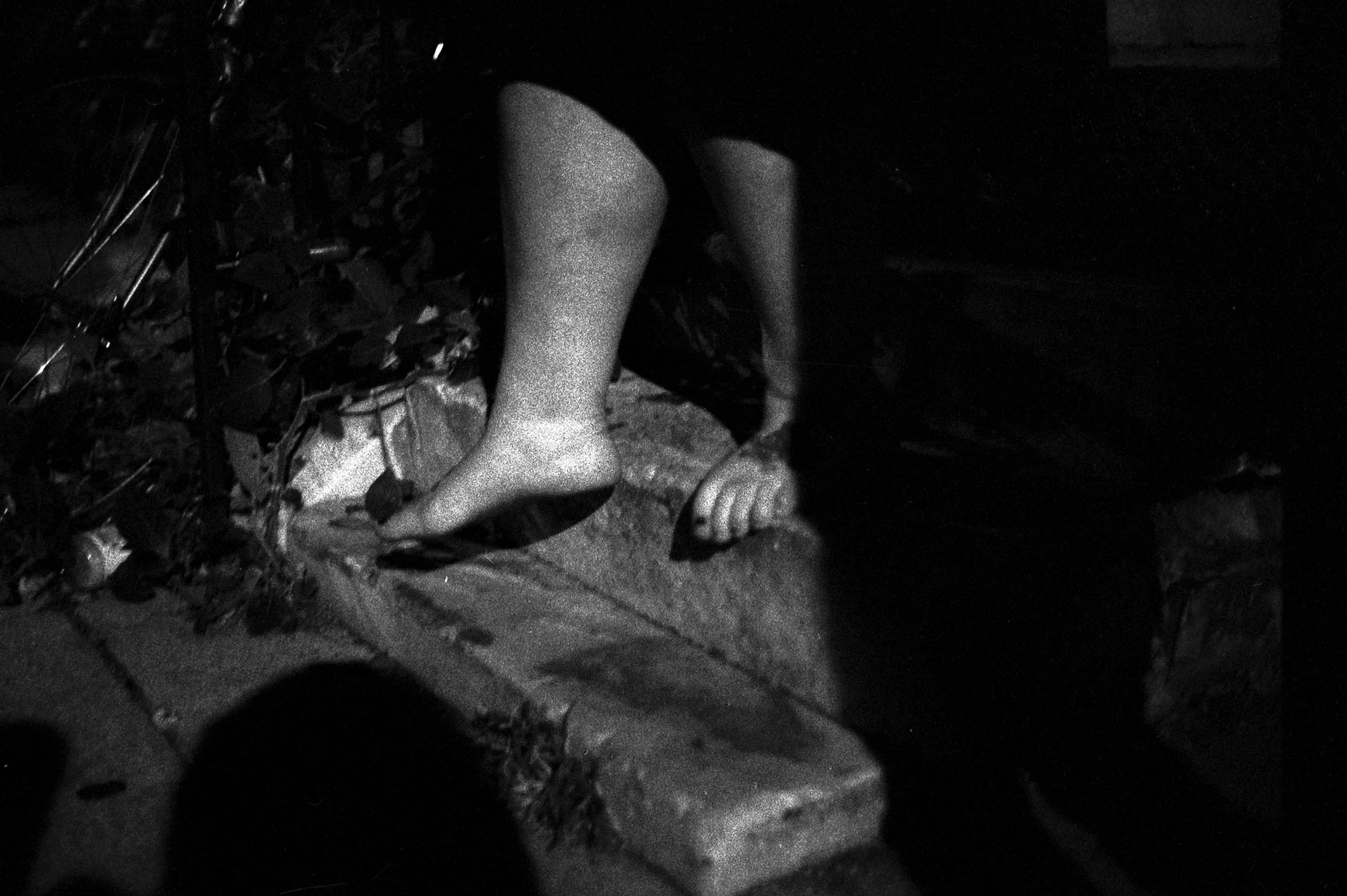 Final Print Canon 17.jpg