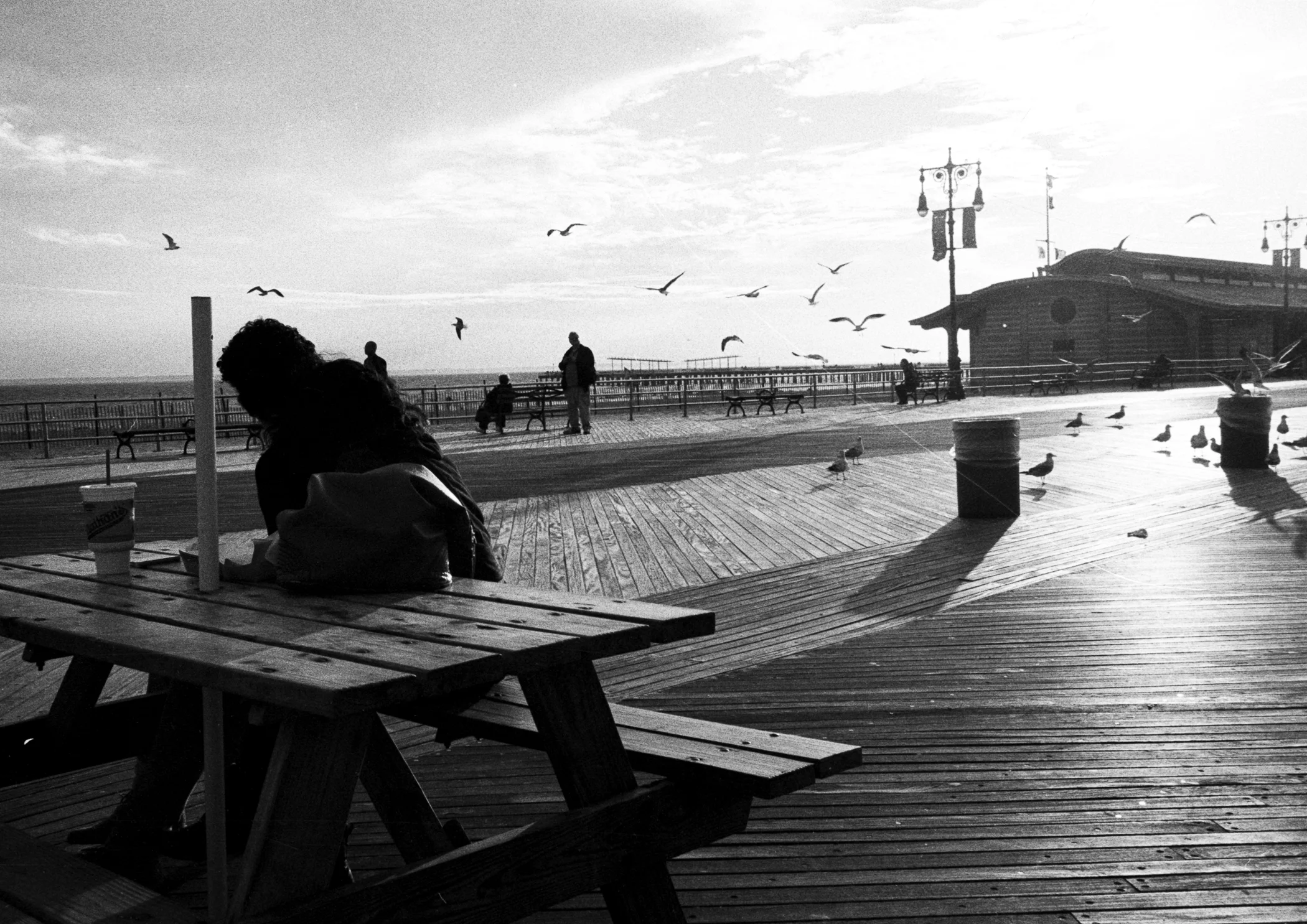 Final Print Canon 42.jpg