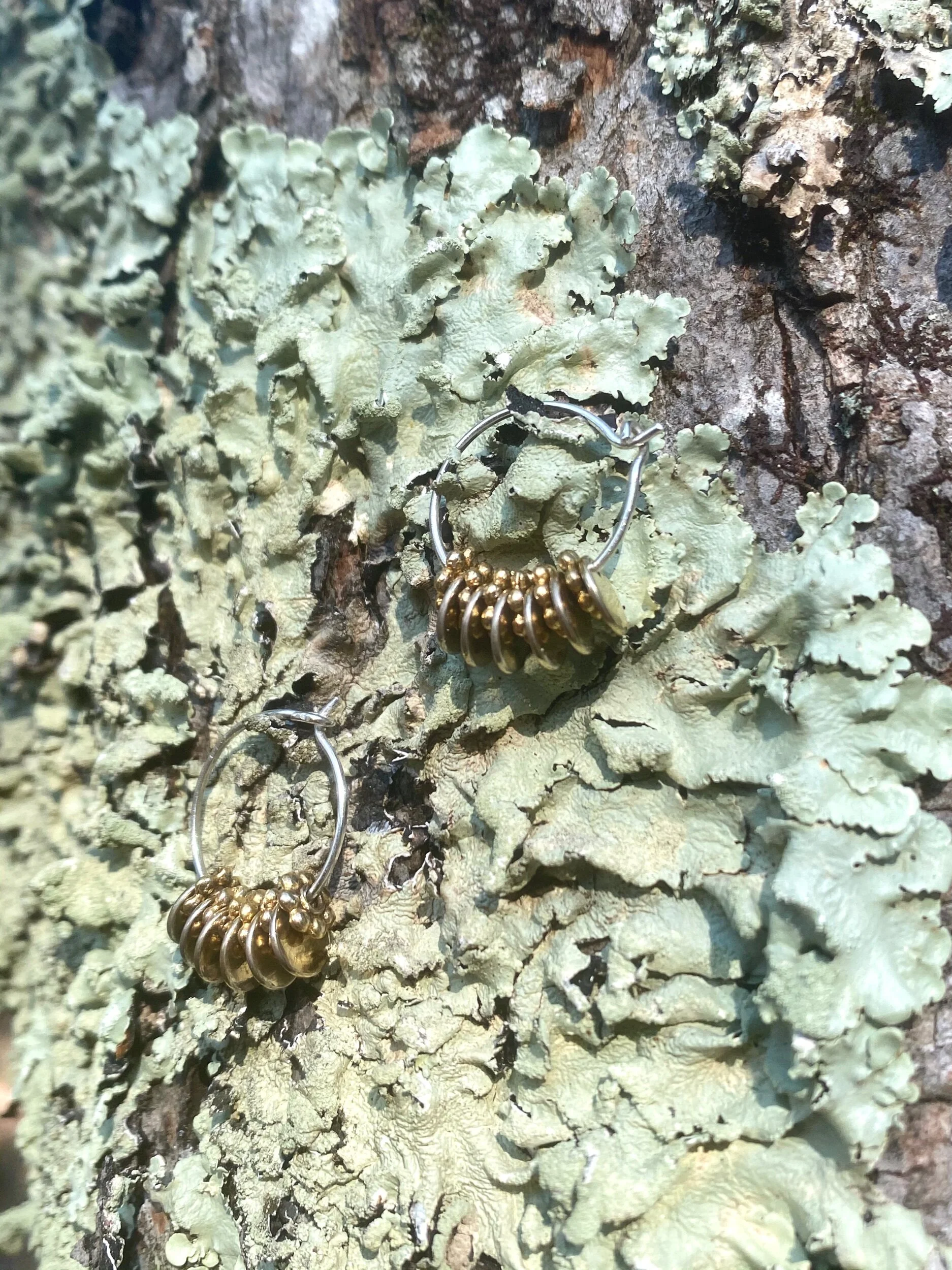 3423BE09-A951-4B87-8927-AEFE80B8B3D8