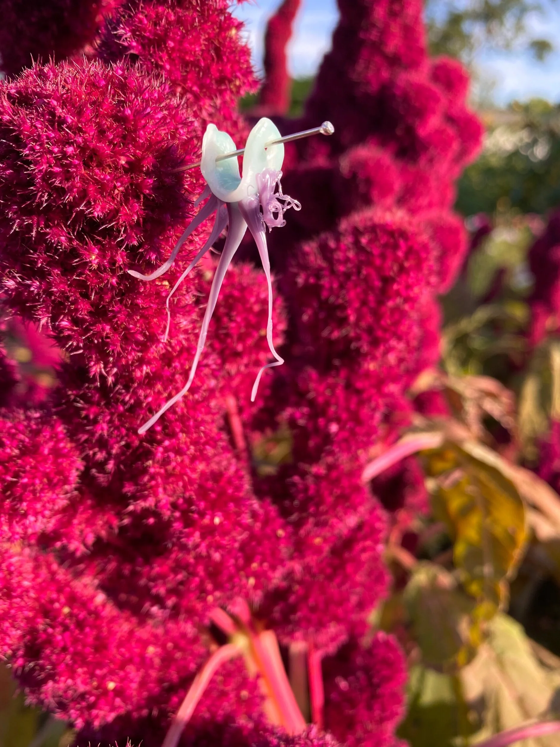 B501FEDA-D758-475E-9701-E7EDFAC3482E