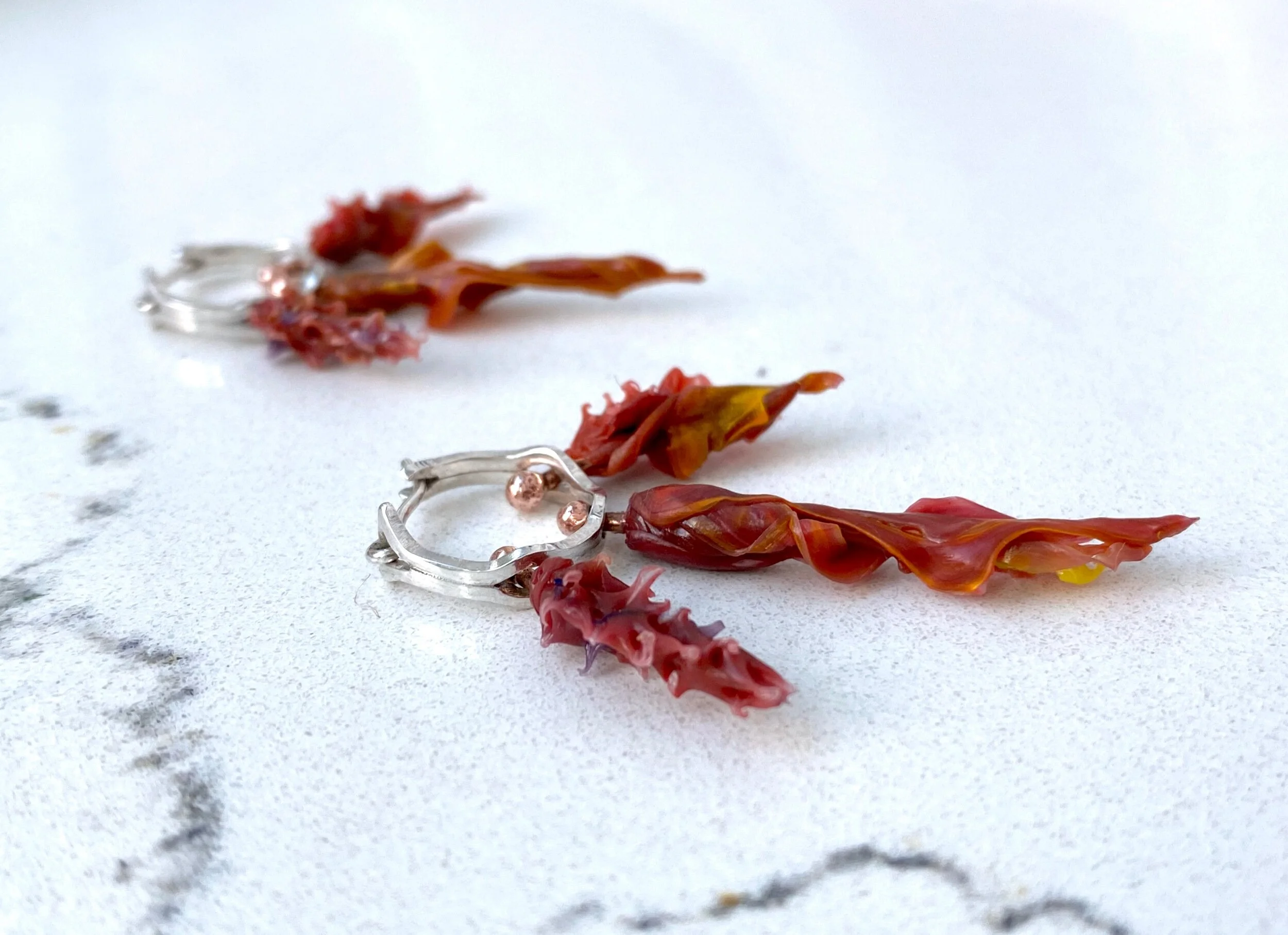 7B845542-28B8-4907-91B8-96F4458D35BB